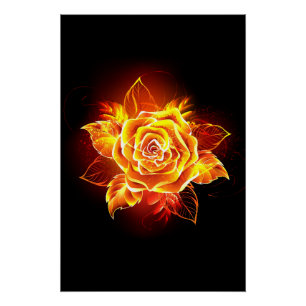 Poster Blooming Fire Rose