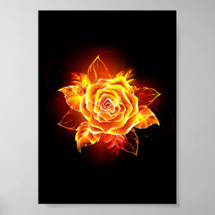 Poster Blooming Fire Rose