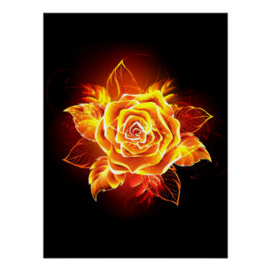 Poster Blooming Fire Rose