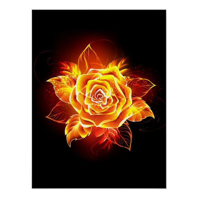 Poster Blooming Fire Rose (Devant)