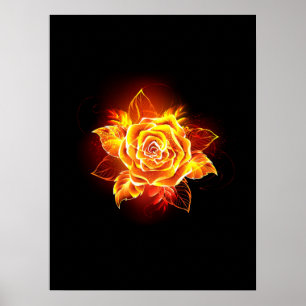 Poster Blooming Fire Rose