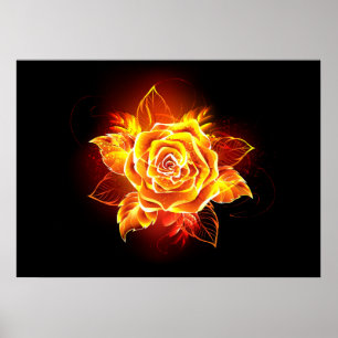Poster Blooming Fire Rose