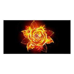 Poster Blooming Fire Rose