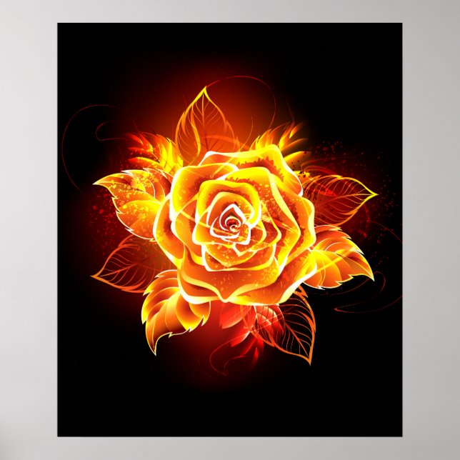 Poster Blooming Fire Rose (Devant)