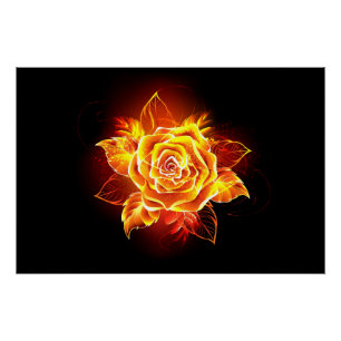 Poster Blooming Fire Rose