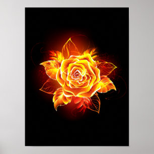 Poster Blooming Fire Rose