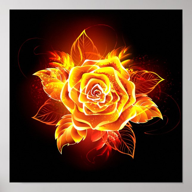 Poster Blooming Fire Rose (Devant)