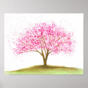 Poster Blossom   Flower Cherry Tree   Fleur de cerisiers