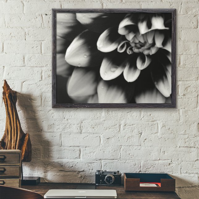 Poster Blossom noir et blanc Dahlia (Créateur téléchargé)
