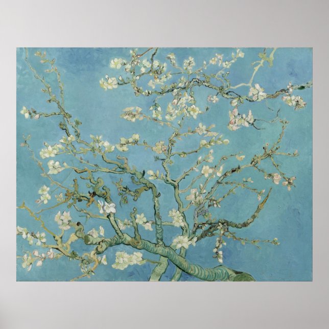 Poster Blossoms d'amandes par Vincent Van Gogh (Devant)