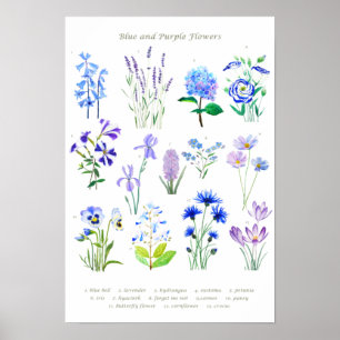 Poster blue and purple  flower collection watercolor 