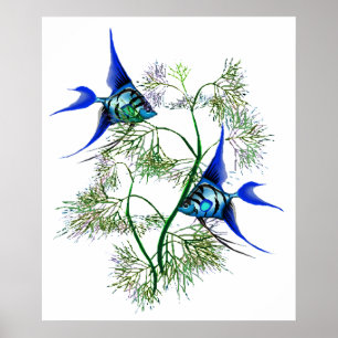 Poster Blue Angelfish in Plants