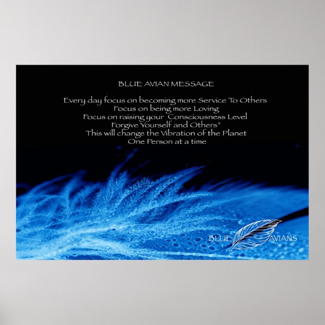 Poster Blue Avian (Devant)