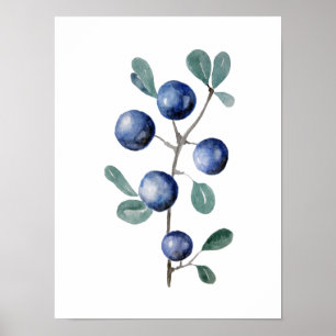 Poster Blue Berries Fruit Watercolor Artwork