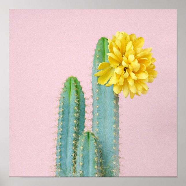 Poster Blue Cactus Trio (Devant)