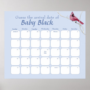 Poster Blue Cardinal Bird Baby shower Devinez La Date D'É