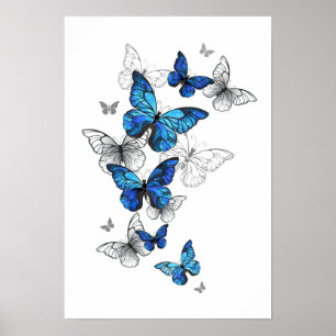 Poster Blue Flying Butterflies Morpho