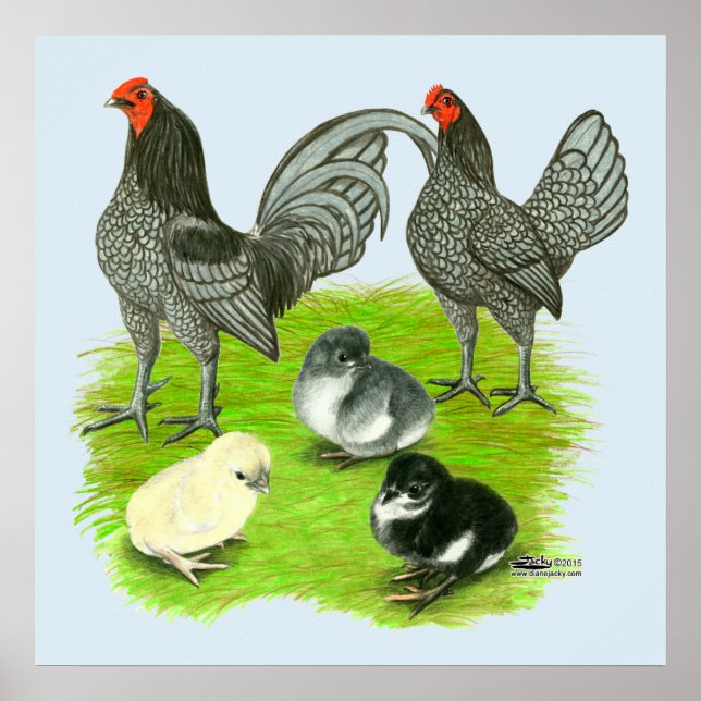 Poster Blue Game Family (Devant)