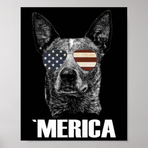 Poster Blue Heeler chien du 14 juillet Mérica Patriotique