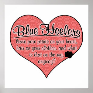 Poster Blue Heeler Empreintes de pattes Chien Humour