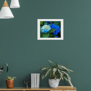 Poster Blue Hydrangea Blooms Floral Photographic