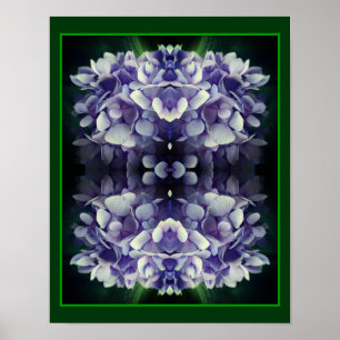 Poster Blue Hydrangea Petals Gros plan Abstrait