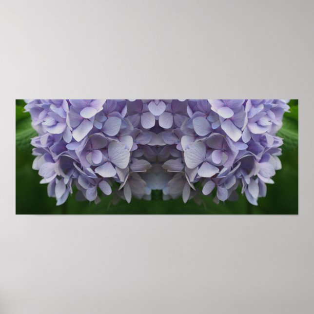 Poster Blue Hydrangea Petals Miroir Abstrait (Devant)