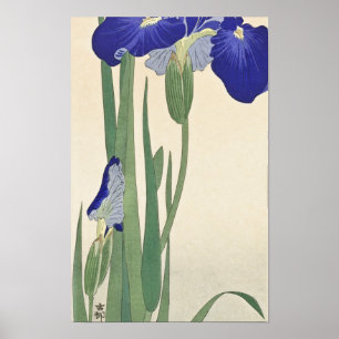 Poster Blue Irises (1900 - 1930) par Ohara Koson