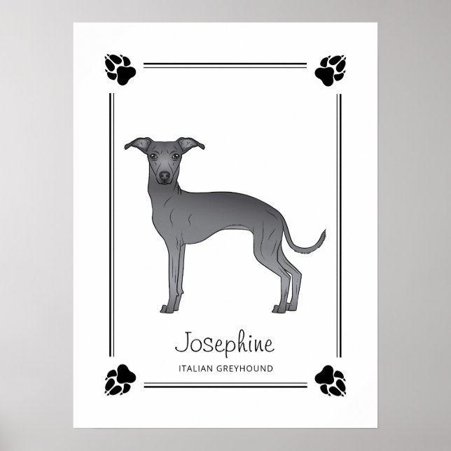 Poster Blue Italian Greyhound Avec Patrouilles Et Texte P (Devant)
