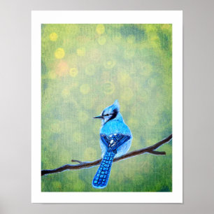 Poster Blue Jay Bird