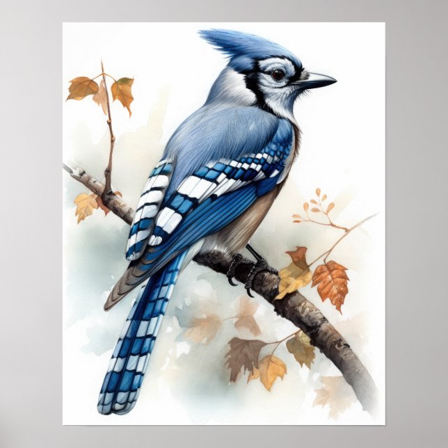 Poster Blue Jay Bird Art Imprimer l'affiche (Devant)