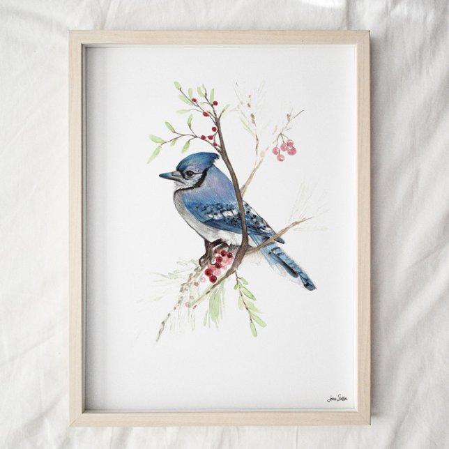 Poster Blue Jay Songbird Watercolor Art Imprimer (Créateur téléchargé)