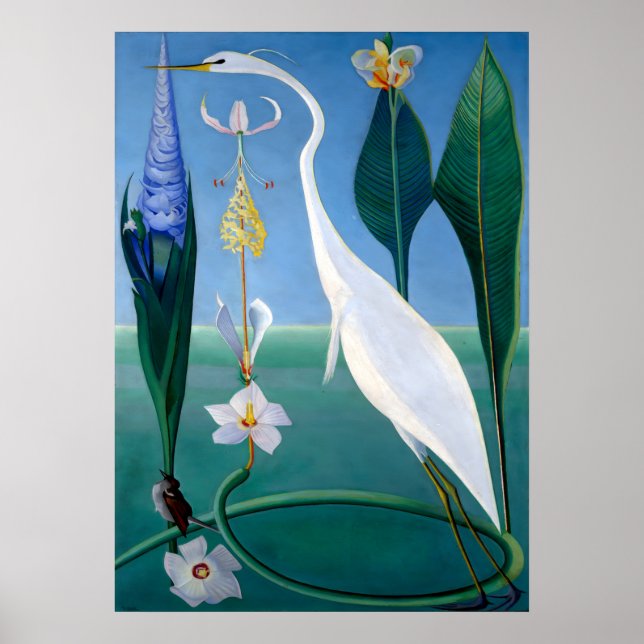 Poster Blue Jays in Winter par Abbott Handerson Thayer (Devant)