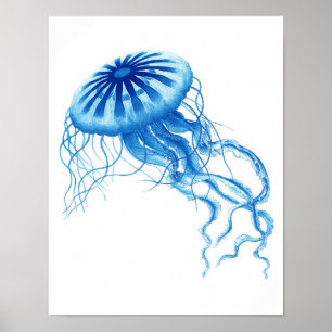Poster Blue Jellyfish Art Vintage Imprimer No.3 Beach Dec