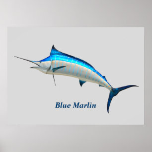 Poster Blue Marlin