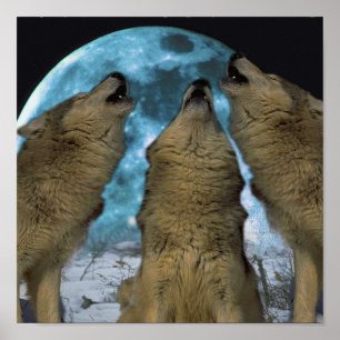 POSTER BLUE MOON WOLVES HOWLING CANVAS PRINT