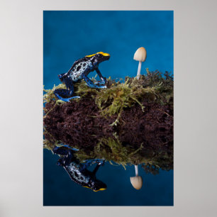 Poster Blue poison