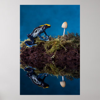 Poster Blue poison