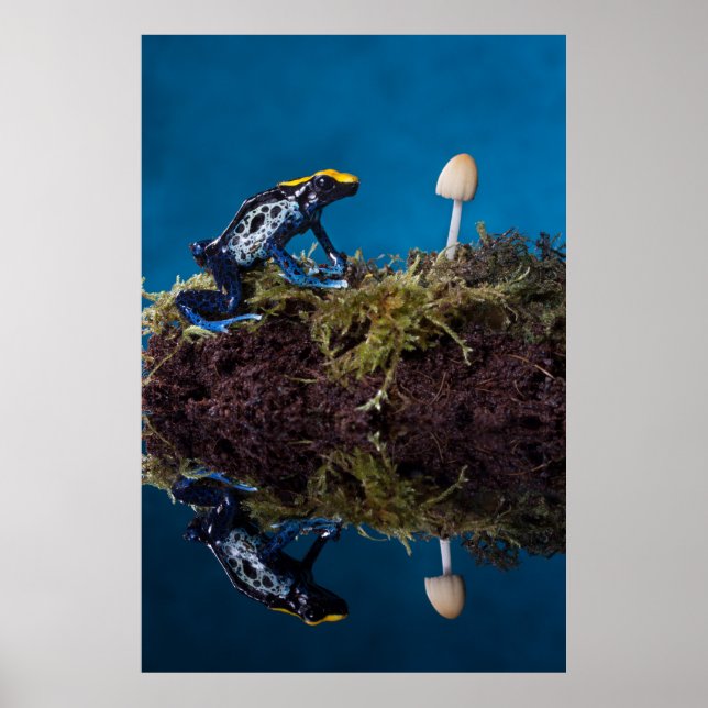 Poster Blue poison (Devant)