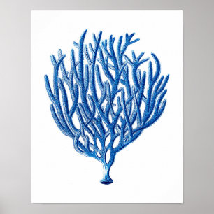 Poster Blue Sea Coral Art Imprimer #1 Beach House Wall Ar