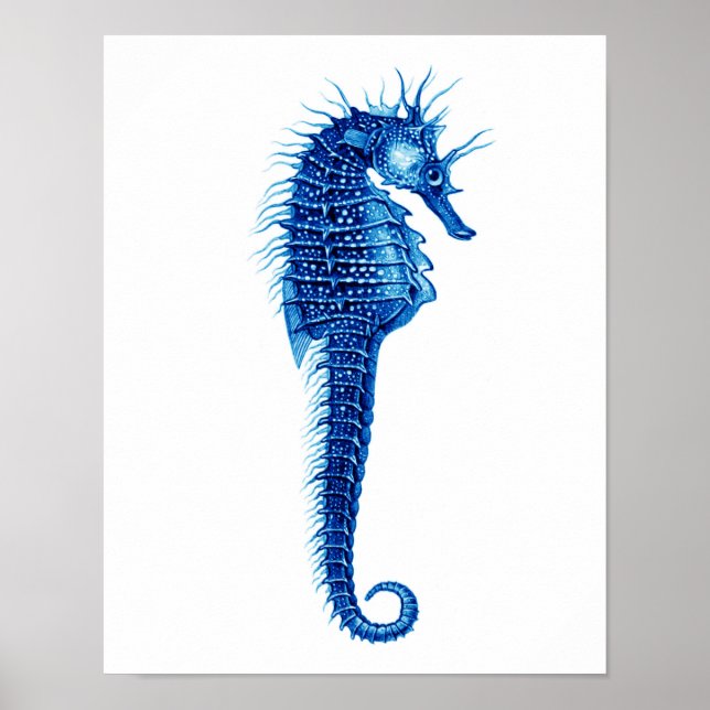 Poster Blue Seahorse Art Imprimer n° 1 Beach Wall Art Dec (Devant)
