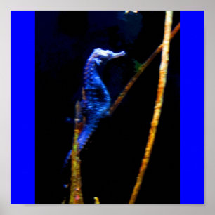 Poster Blue Seahorse CB