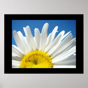Poster Blue Sky Floral estampes blanc Fleur marguerite