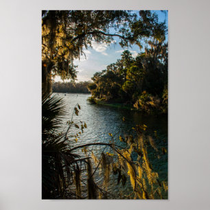 Poster Blue Springs State Park, Floride