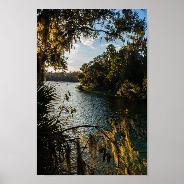 Poster Blue Springs State Park, Floride (Devant)