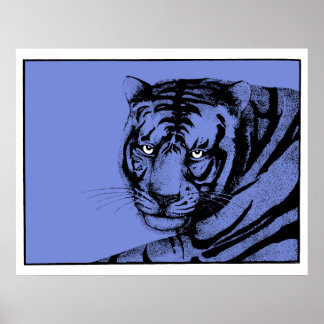 POSTER BLUE TIGER