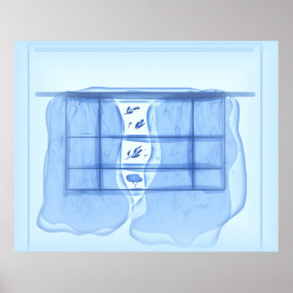 Poster Blue window.