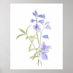 Poster bluebell et violet en aquarelle