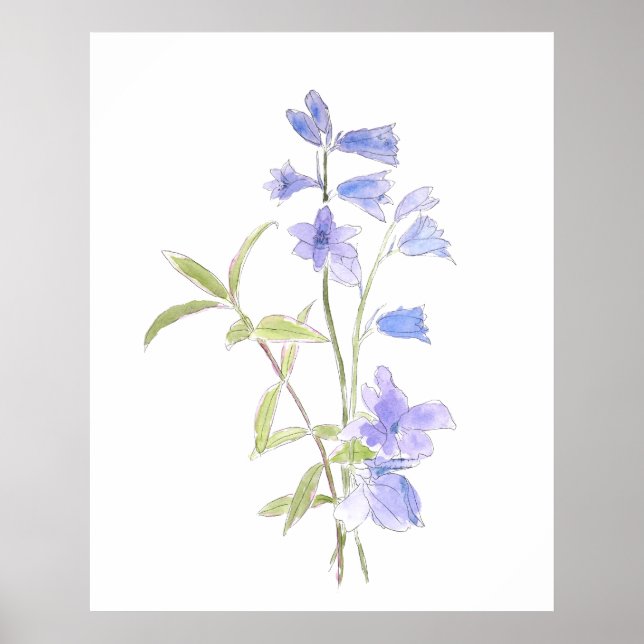 Poster bluebell et violet en aquarelle (Devant)