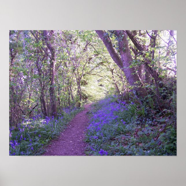 Poster Bluebell Woods Print (Devant)